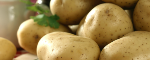 Potatoes for all tastes and dishes