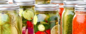 Fermented plants: “neither cooked nor raw”: Should we eat them?