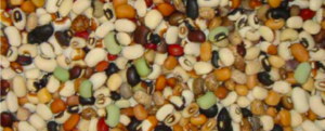 All about Amber and cowpea