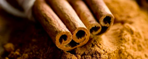 All about “Cinnamon”