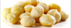 All about “Macadamia nut”