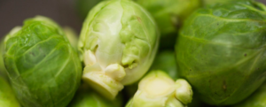 All about “Brussels sprouts”
