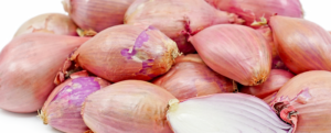 All about “Shallot / Wild Onion”