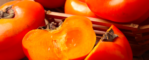 All about “Persimmon”, the national fruit of Japan