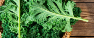 All about “Kale”